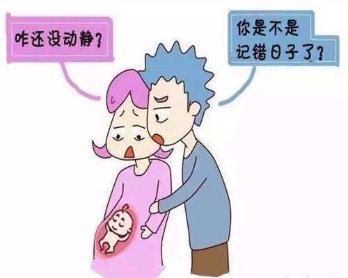 上海世纪代怀孕中心_上海代怀孕安全吗_代孕产子的费用_专业助代怀孕包男孩